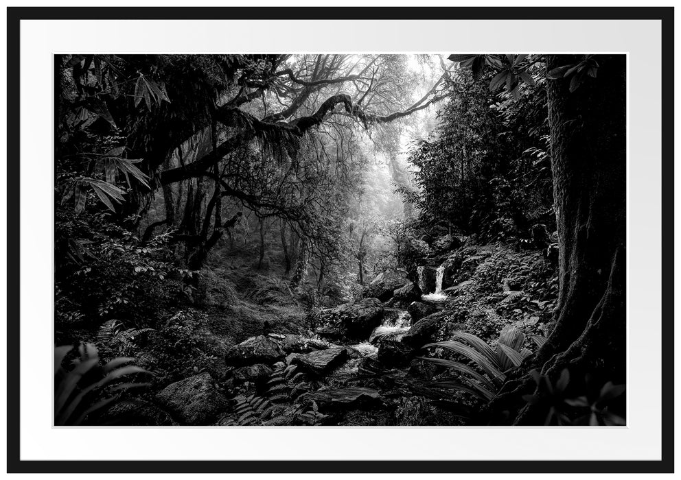 Kleinder Wasserfall im Dschungel, Monochrome Passepartout Rechteckig 100