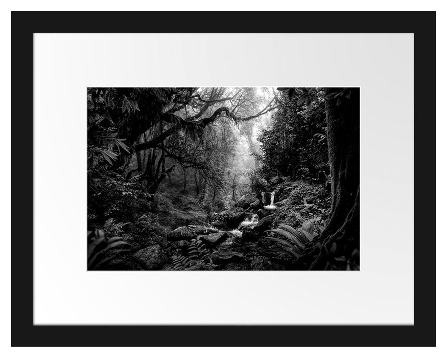 Pixxprint Kleinder Wasserfall im Dschungel, Monochrome, im Galerie-Passepartout Bilderrahmen