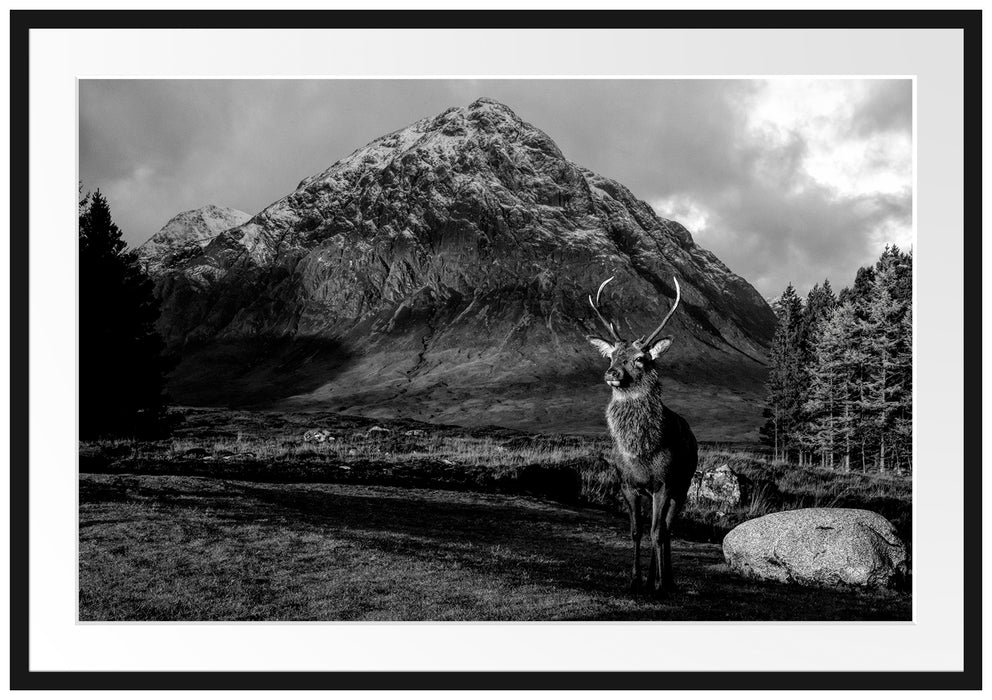 Einsames Rentier vor Berglandschaft, Monochrome Passepartout Rechteckig 100