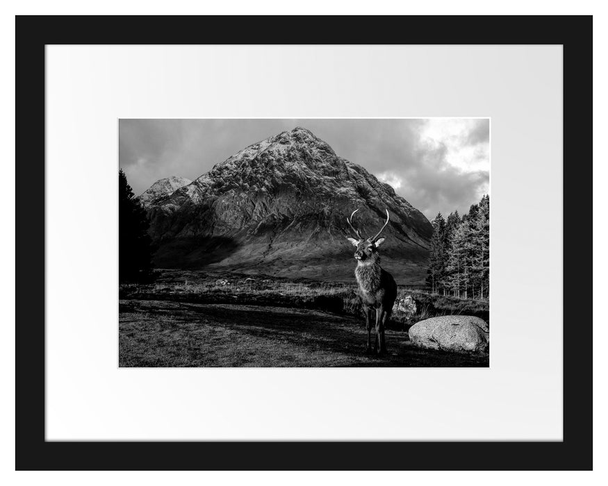 Pixxprint Einsames Rentier vor Berglandschaft, Monochrome, im Galerie-Passepartout Bilderrahmen