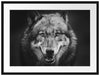 Nahaufnahme Wolf mit offener Schnauze, Monochrome Passepartout Rechteckig 80