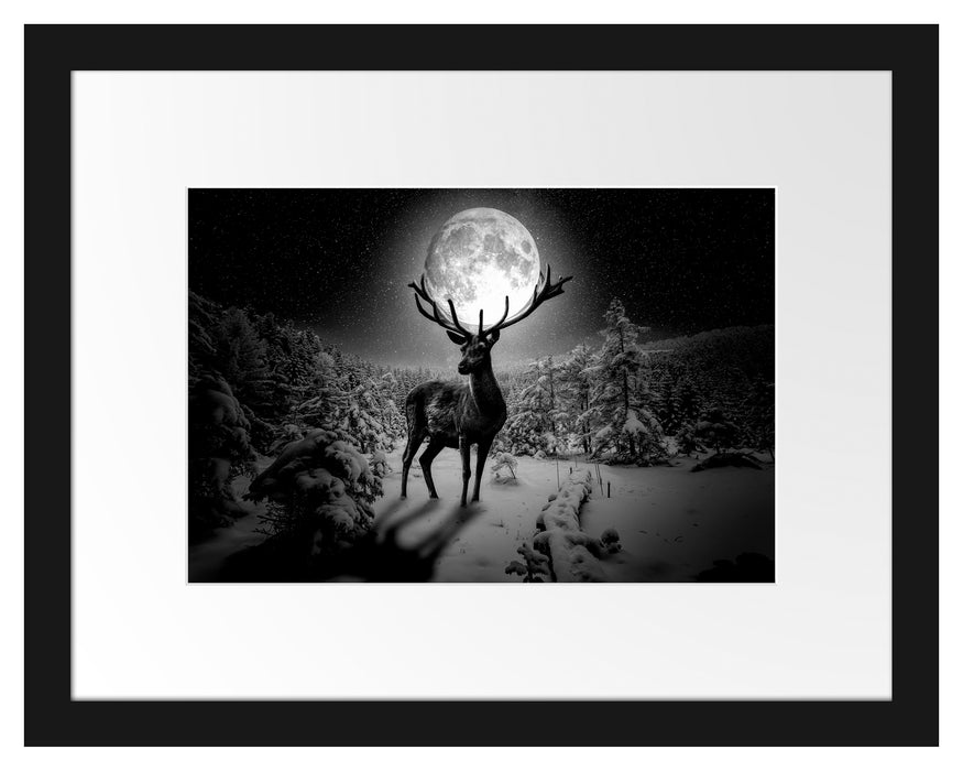 Pixxprint Rentier im Winterwald bei Mondschein, Monochrome, im Galerie-Passepartout Bilderrahmen