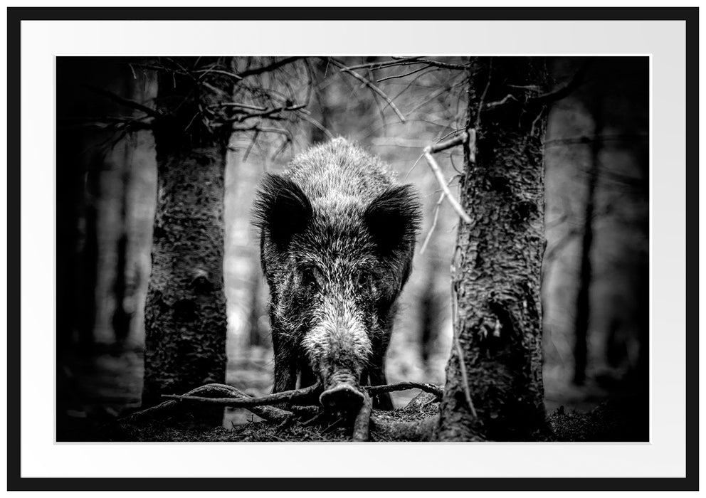 Nahaufnahme Wildschwein im Wald, Monochrome Passepartout Rechteckig 100