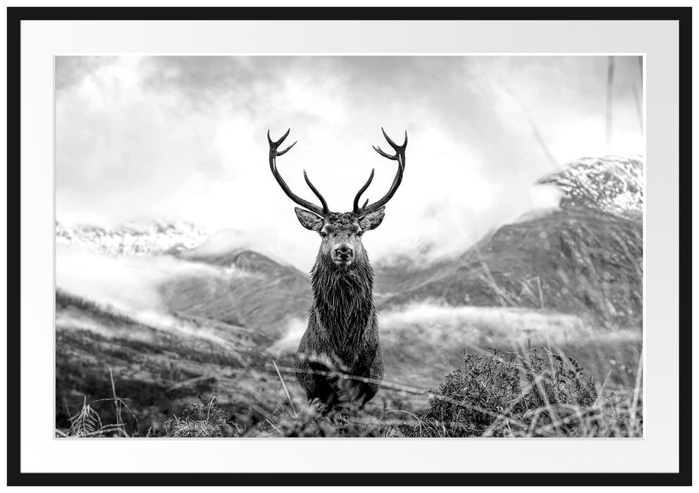 Majestätischer Hirsch in Berglandschaft, Monochrome Passepartout Rechteckig 100