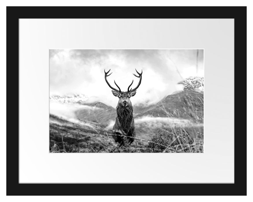 Pixxprint Majestätischer Hirsch in Berglandschaft, Monochrome, im Galerie-Passepartout Bilderrahmen