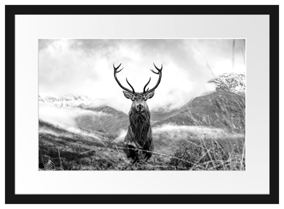 Majestätischer Hirsch in Berglandschaft, Monochrome Passepartout Rechteckig 40