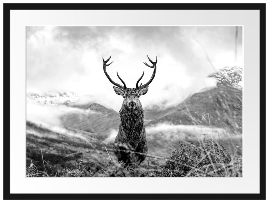 Majestätischer Hirsch in Berglandschaft, Monochrome Passepartout Rechteckig 80