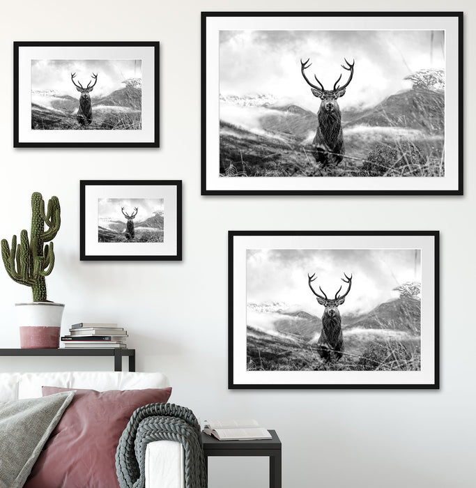 Majestätischer Hirsch in Berglandschaft, Monochrome Passepartout Wohnzimmer Rechteckig