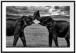 Elefanten Rüssel an Rüssel, Monochrome Passepartout Rechteckig 100
