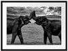 Elefanten Rüssel an Rüssel, Monochrome Passepartout Rechteckig 80