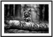 Hund springt über Baumstamm im Wald, Monochrome Passepartout Rechteckig 100