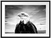 Weisskopfseeadler im Sonnenuntergang, Monochrome Passepartout Rechteckig 80