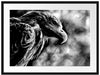 Mächtiger Adler Nahaufnahme, Monochrome Passepartout Rechteckig 80