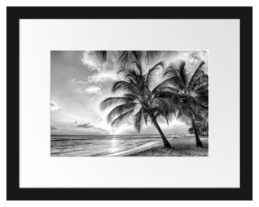 Pixxprint Palmen im Sonnenuntergang auf Barbados, Monochrome, im Galerie-Passepartout Bilderrahmen