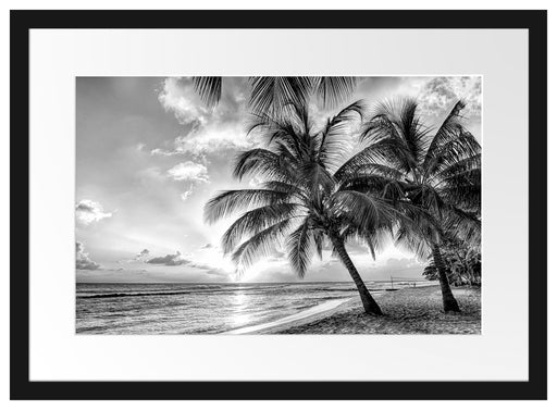 Palmen im Sonnenuntergang auf Barbados, Monochrome Passepartout Rechteckig 40