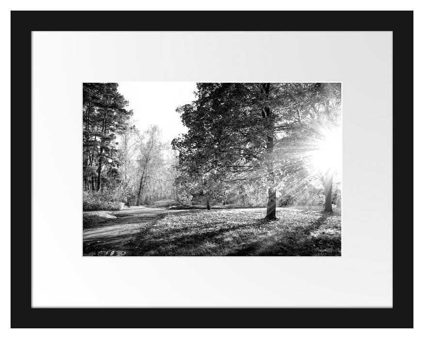 Pixxprint Weg durch bunten Herbstwald, Monochrome, im Galerie-Passepartout Bilderrahmen