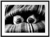 Hundeschnauzen unter Kuscheldecke, Monochrome Passepartout Rechteckig 80