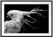 Papagei mit buntem Kamm, Monochrome Passepartout Rechteckig 100