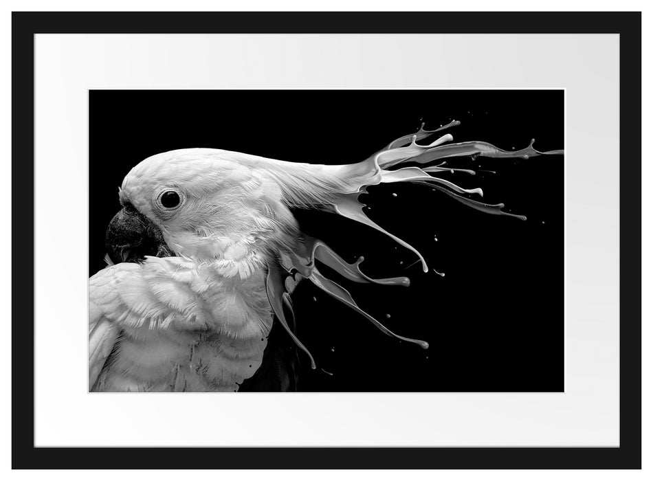 Papagei mit buntem Kamm, Monochrome Passepartout Rechteckig 40