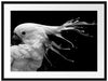 Papagei mit buntem Kamm, Monochrome Passepartout Rechteckig 80