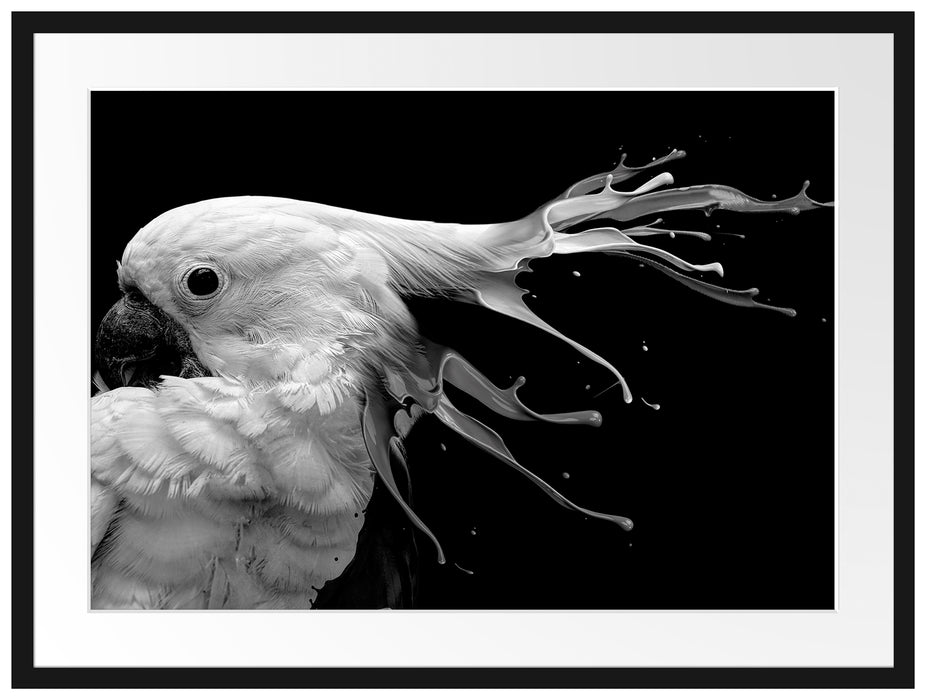 Papagei mit buntem Kamm, Monochrome Passepartout Rechteckig 80