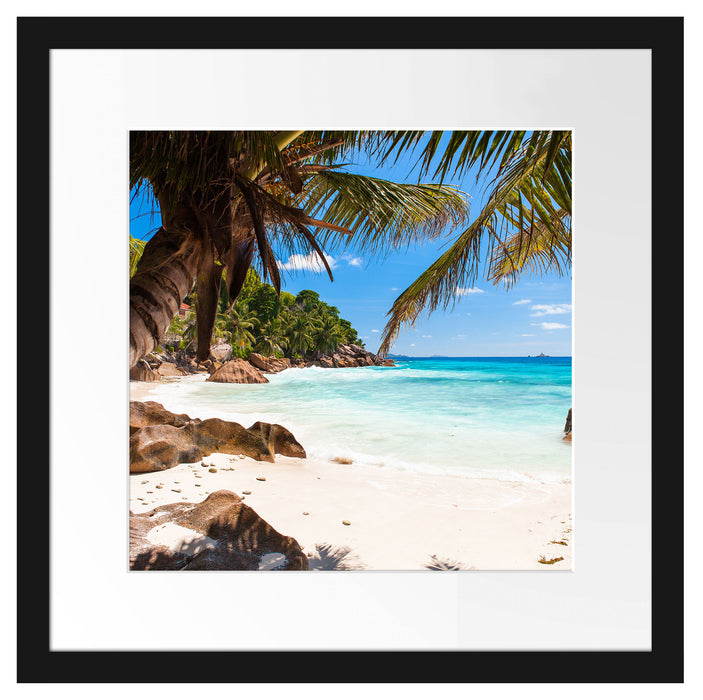 Palmenstrand Seychellen Passepartout Quadratisch 40x40