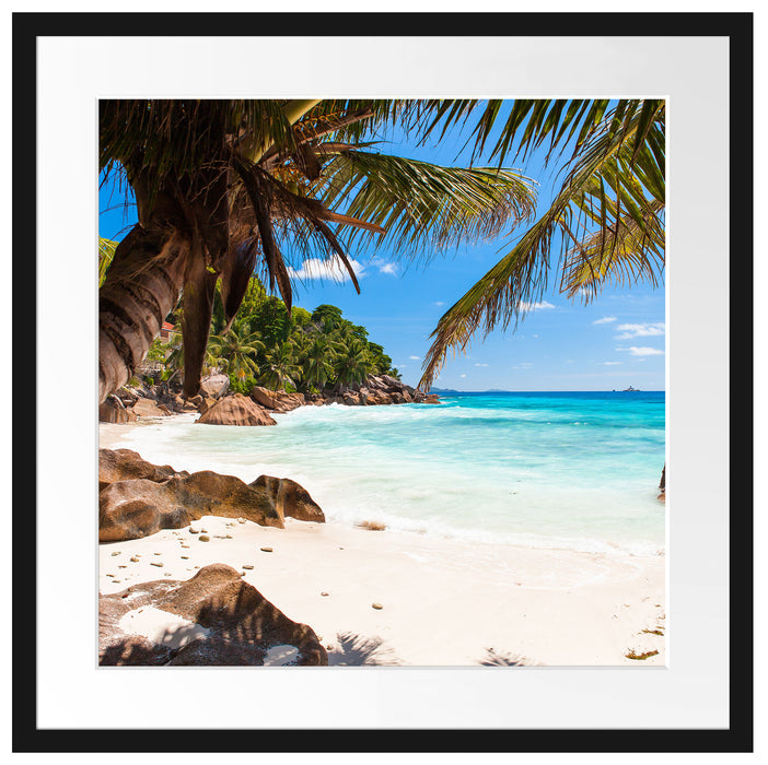 Palmenstrand Seychellen Passepartout Quadratisch 55x55