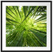 Grüner Bambus Passepartout Quadratisch 70x70
