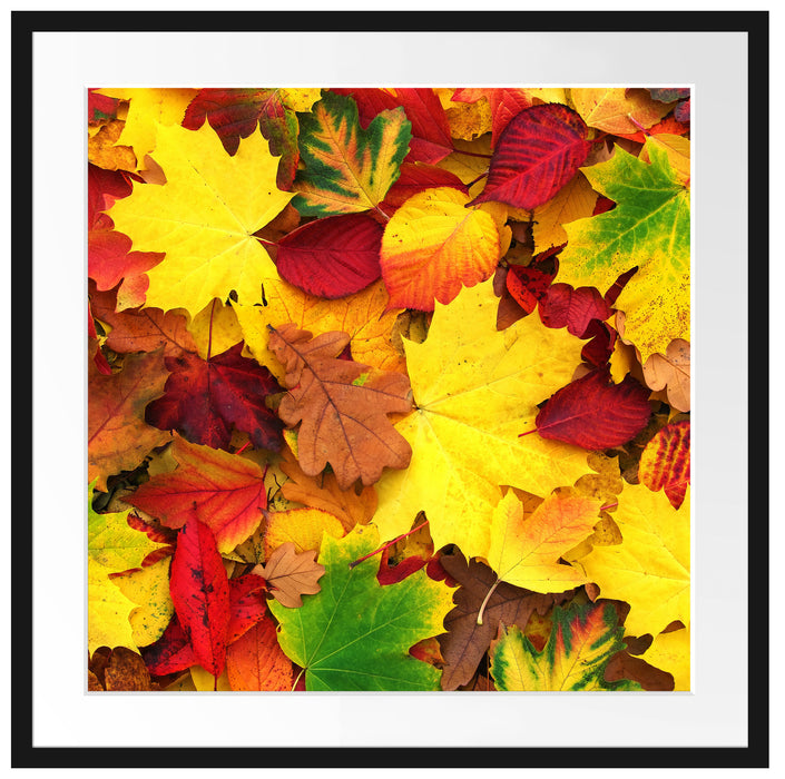 Herbstblätter Passepartout Quadratisch 70x70