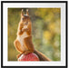 Eichhörnchen auf Fliegenpilz Passepartout Quadratisch 70x70