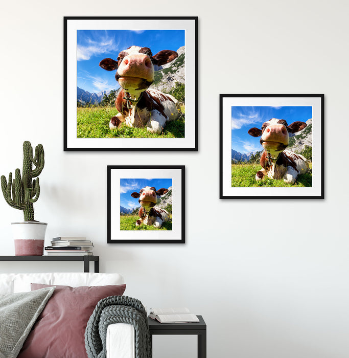 Kuh im Karwendelgebirge Quadratisch Passepartout Wohnzimmer