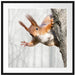Neugierig rotes Eichhörnchen Passepartout Quadratisch 70x70