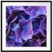 Blaue Hortensien Blüte Passepartout Quadratisch 70x70