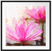 Lilafarbene Wasserlilie Kunst Passepartout Quadratisch 70x70