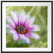 lilane Blume in der Natur Kunst Passepartout Quadratisch 70x70