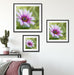 lilane Blume in der Natur Kunst Quadratisch Passepartout Wohnzimmer