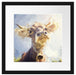 Portrait einer Kuh Passepartout Quadratisch 40x40