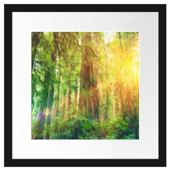 Wald bei Sonnenlicht Kunst Passepartout Quadratisch 40x40