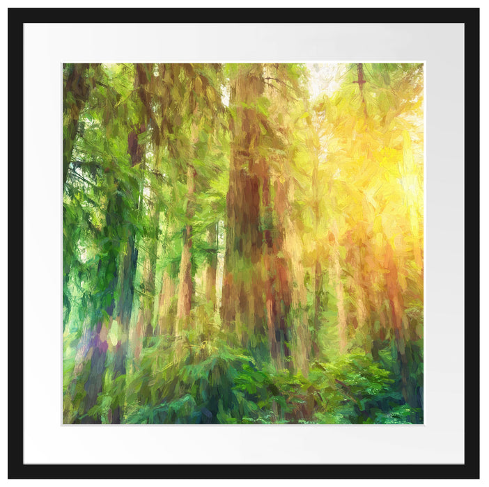 Wald bei Sonnenlicht Kunst Passepartout Quadratisch 55x55