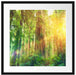 Wald bei Sonnenlicht Kunst Passepartout Quadratisch 55x55