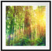 Wald bei Sonnenlicht Kunst Passepartout Quadratisch 70x70