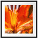 orange Lilie in Nahaufnahme Kunst Passepartout Quadratisch 55x55