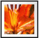 orange Lilie in Nahaufnahme Kunst Passepartout Quadratisch 70x70