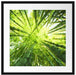 Grüner Bambus Kunst Passepartout Quadratisch 55x55
