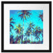 Tropische Palmen Kunst Passepartout Quadratisch 40x40