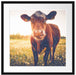 Kuh auf Butterblumenwiese Passepartout Quadratisch 55x55