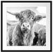 Blick einer Kuh an der Weide Passepartout Quadratisch 55x55