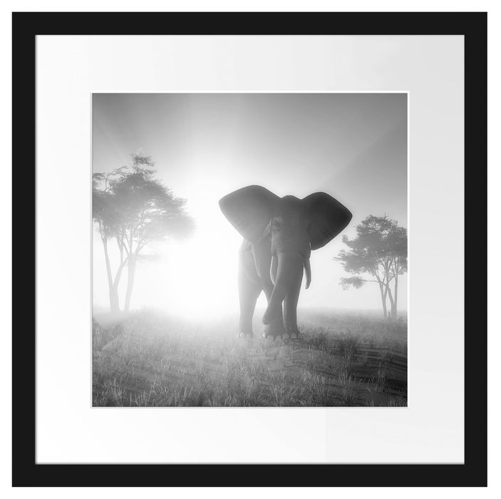 Elefant in der Wüste Passepartout Quadratisch 40x40