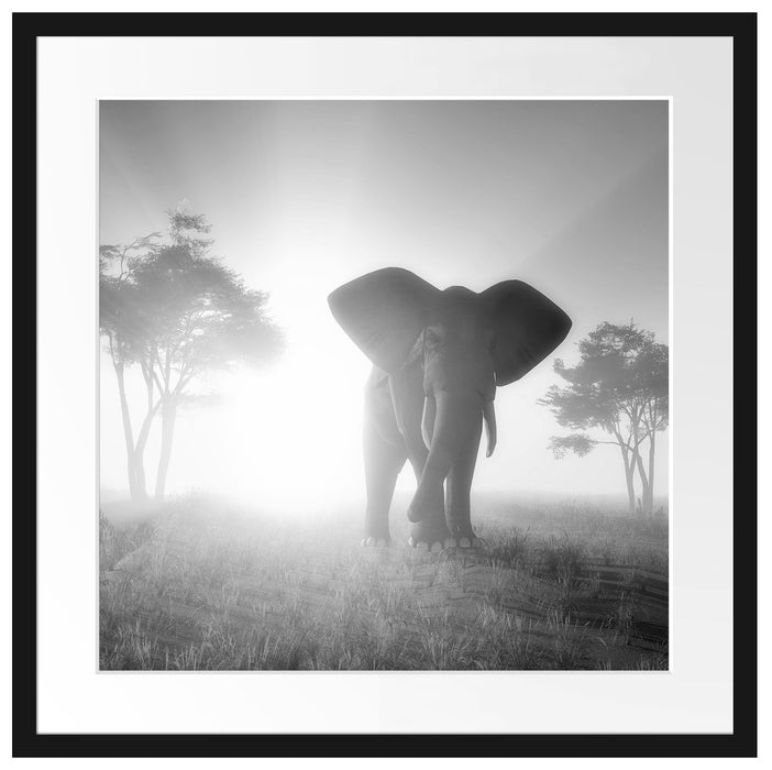 Elefant in der Wüste Passepartout Quadratisch 55x55