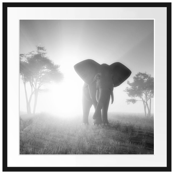 Elefant in der Wüste Passepartout Quadratisch 70x70